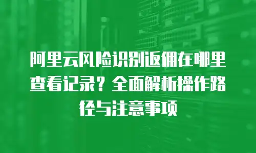 阿里云风险识别返佣在哪里查看记录？全面解析操作路径与注意事项