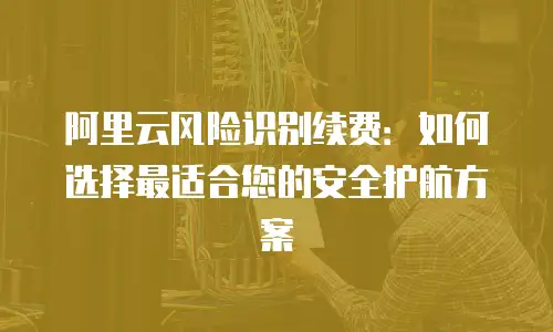 阿里云风险识别续费：如何选择最适合您的安全护航方案