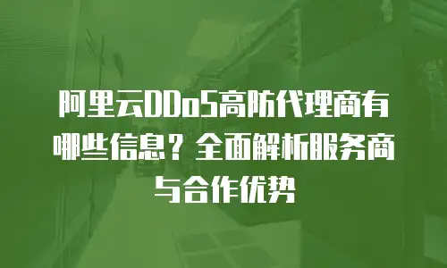 阿里云DDoS高防代理商有哪些信息？全面解析服务商与合作优势