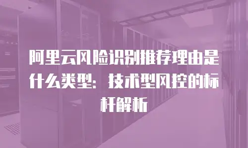 阿里云风险识别推荐理由是什么类型：技术型风控的标杆解析