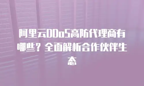 阿里云DDoS高防代理商有哪些？全面解析合作伙伴生态