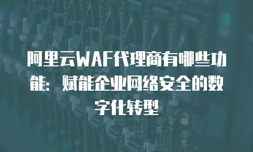 阿里云WAF代理商有哪些功能：赋能企业网络安全的数字化转型
