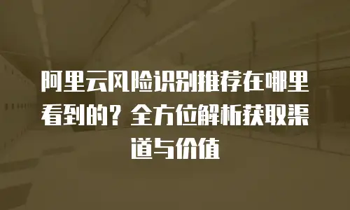 阿里云风险识别推荐在哪里看到的？全方位解析获取渠道与价值