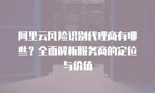 阿里云风险识别代理商有哪些？全面解析服务商的定位与价值