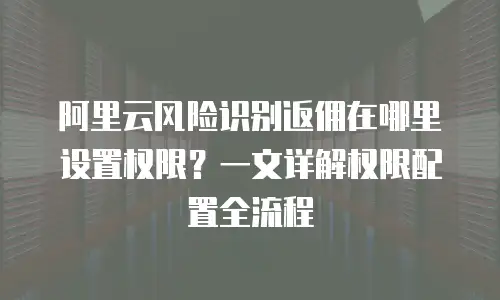 阿里云风险识别返佣在哪里设置权限？一文详解权限配置全流程