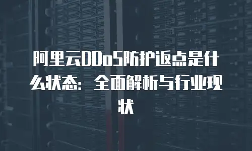 阿里云DDoS防护返点是什么状态：全面解析与行业现状