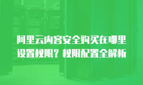 阿里云内容安全购买在哪里设置权限？权限配置全解析