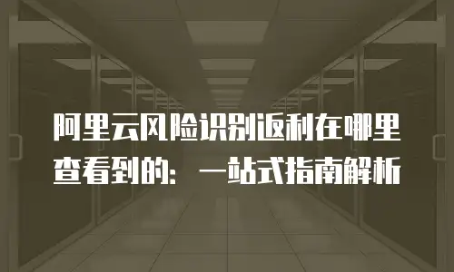 阿里云风险识别返利在哪里查看到的：一站式指南解析