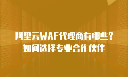 阿里云WAF代理商有哪些？如何选择专业合作伙伴