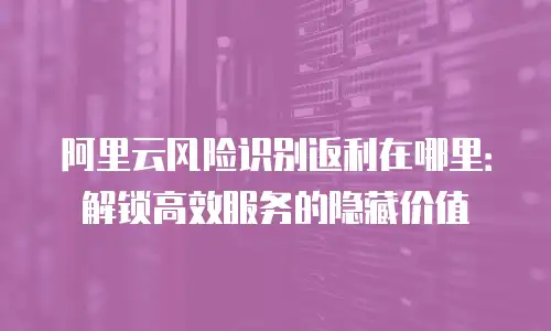 阿里云风险识别返利在哪里：解锁高效服务的隐藏价值