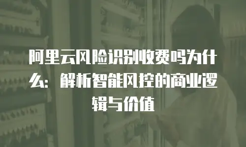 阿里云风险识别收费吗为什么：解析智能风控的商业逻辑与价值