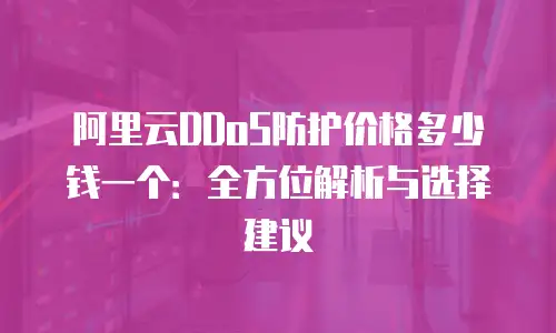 阿里云DDoS防护价格多少钱一个：全方位解析与选择建议