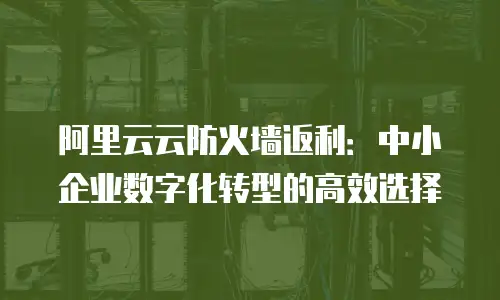 阿里云云防火墙返利：中小企业数字化转型的高效选择