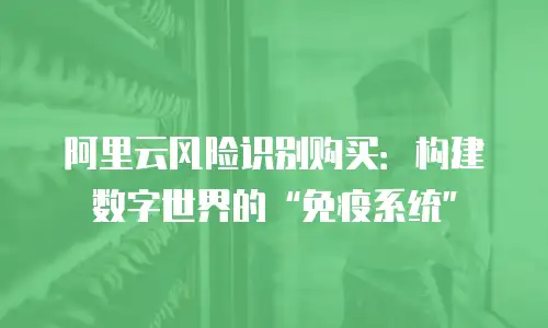 阿里云风险识别购买：构建数字世界的“免疫系统”