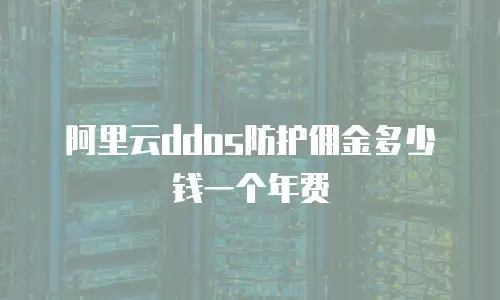 阿里云ddos防护佣金多少钱一个年费