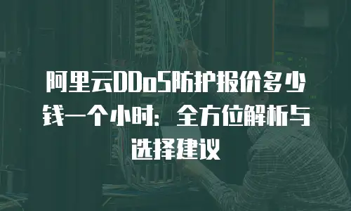 阿里云DDoS防护报价多少钱一个小时：全方位解析与选择建议
