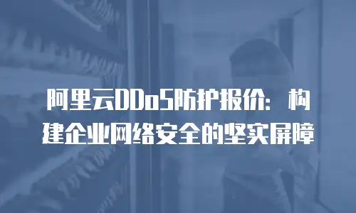 阿里云DDoS防护报价：构建企业网络安全的坚实屏障
