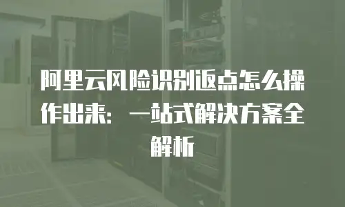 阿里云风险识别返点怎么操作出来：一站式解决方案全解析