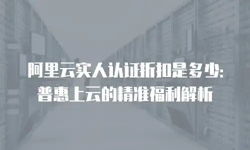 阿里云DDoS高防代理商是什么类型？解析其核心价值与服务模式