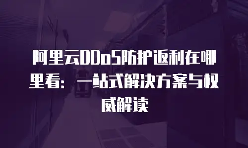 阿里云DDoS防护返利在哪里看：一站式解决方案与权威解读
