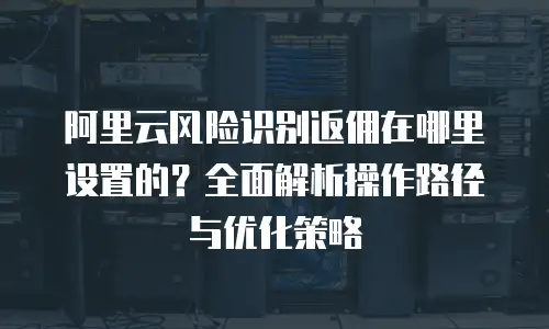 阿里云风险识别返佣在哪里设置的？全面解析操作路径与优化策略