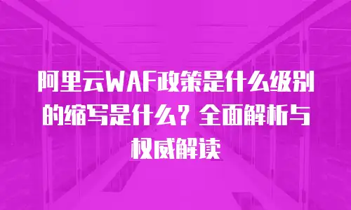 阿里云WAF政策是什么级别的缩写是什么？全面解析与权威解读