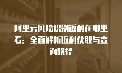 阿里云风险识别返利在哪里看：全面解析返利获取与查询路径