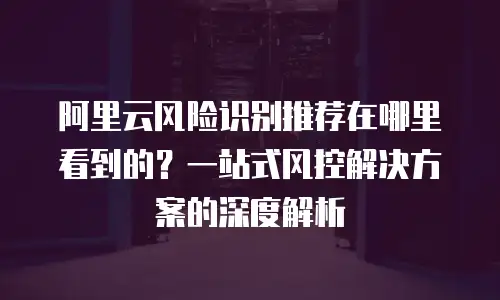 阿里云风险识别推荐在哪里看到的？一站式风控解决方案的深度解析