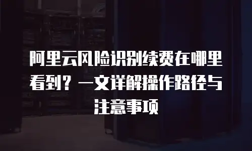 阿里云风险识别续费在哪里看到？一文详解操作路径与注意事项