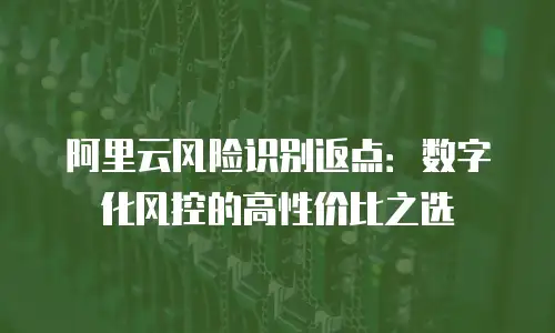 阿里云风险识别返点：数字化风控的高性价比之选