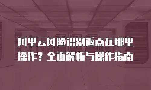 阿里云风险识别返点在哪里操作？全面解析与操作指南