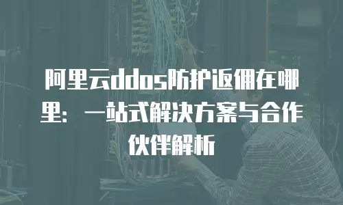 阿里云ddos防护返佣在哪里：一站式解决方案与合作伙伴解析