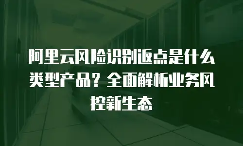 阿里云风险识别返点是什么类型产品？全面解析业务风控新生态