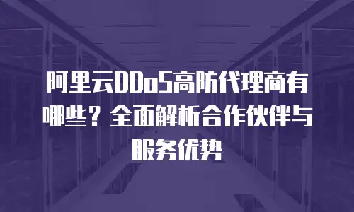 阿里云DDoS高防代理商有哪些？全面解析合作伙伴与服务优势