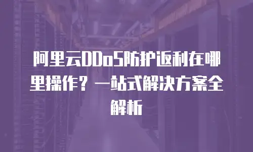 阿里云DDoS防护返利在哪里操作？一站式解决方案全解析