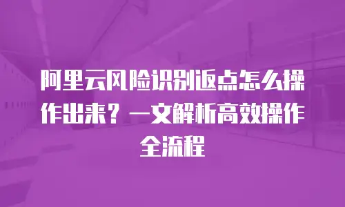 阿里云风险识别返点怎么操作出来？一文解析高效操作全流程