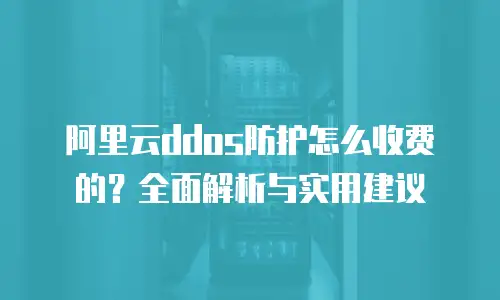 阿里云DDoS防护怎么收费的？全面解析与实用建议