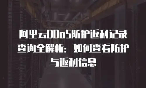 阿里云DDoS防护返利记录查询全解析：如何查看防护与返利信息