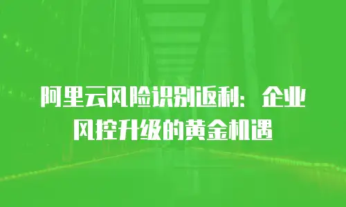 阿里云风险识别返利：企业风控升级的黄金机遇