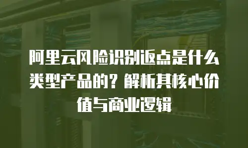 阿里云风险识别返点是什么类型产品的？解析其核心价值与商业逻辑