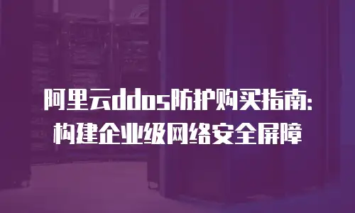 阿里云ddos防护购买指南：构建企业级网络安全屏障