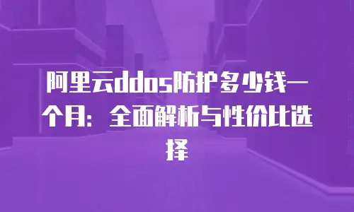 阿里云ddos防护多少钱一个月：全面解析与性价比选择