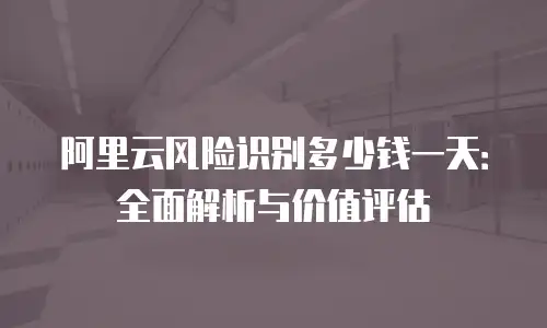 阿里云风险识别多少钱一天：全面解析与价值评估