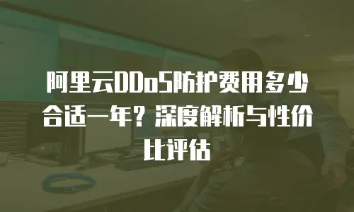 阿里云DDoS防护费用多少合适一年？深度解析与性价比评估