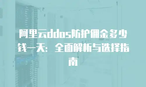 阿里云ddos防护佣金多少钱一天：全面解析与选择指南
