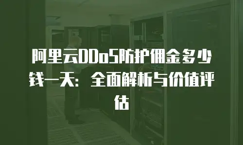 阿里云DDoS防护佣金多少钱一天：全面解析与价值评估