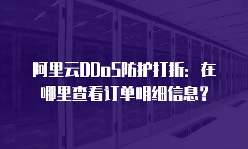 阿里云DDoS防护打折：在哪里查看订单明细信息？