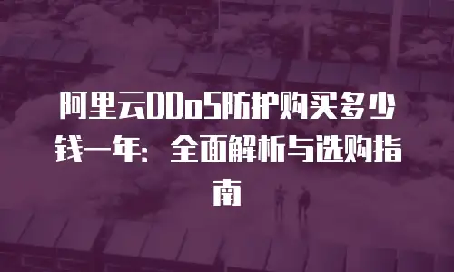阿里云DDoS防护购买多少钱一年：全面解析与选购指南