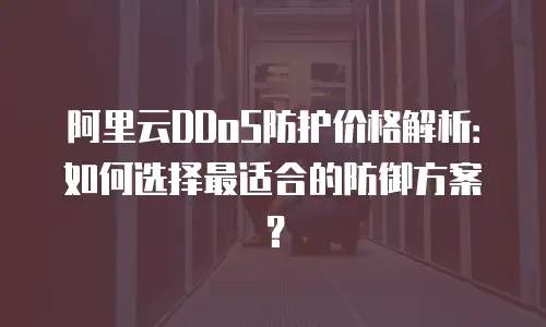 阿里云DDoS防护价格解析：如何选择最适合的防御方案？