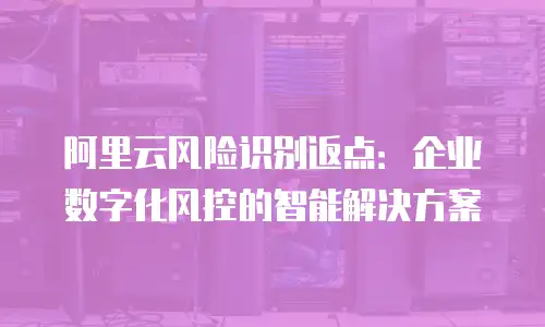 阿里云风险识别返点：企业数字化风控的智能解决方案